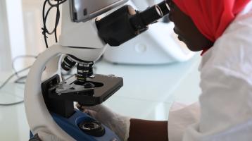 Appui technique et formulation